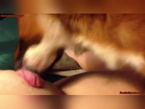 Woman and Dog: A Passionate Encounter - Bestiality Video