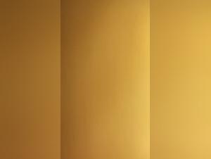 Amateur Dog 34: Une Expérience Unique avec des Amoureux des Chiens