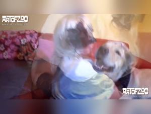 The Bestiality: A Passionate Love Between Women and Dogs