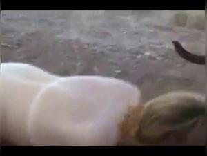 Dog Sex Video: An Extreme Experience