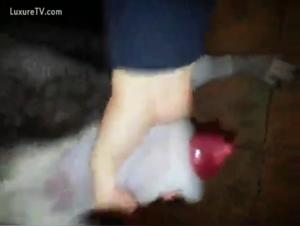 Zoophilie : Jeune fille et son chien