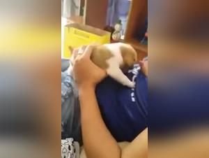 Feeding a dog with breast milk: a shocking scene of zoophilia