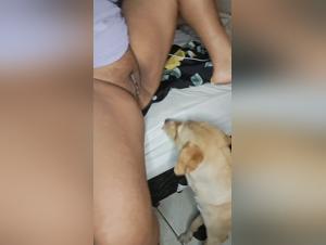 The Sexy dog and Hamster Sex Experience