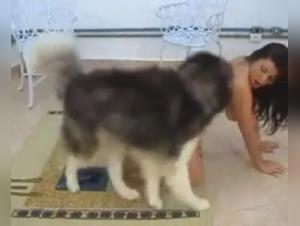 Naughty friends and four-legged friends