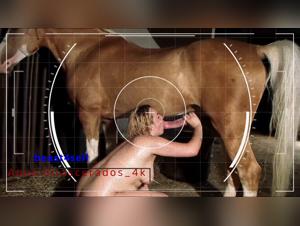 Fucking a Dirty Dog: Wild Animal Sex