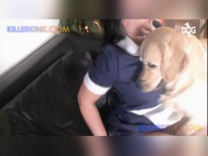 Woman and Dog - A Forbidden Encounter on Video