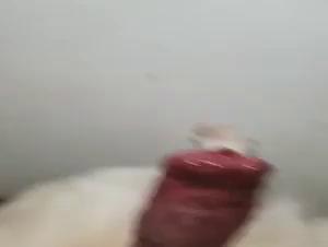 Sex Zoo Animals: A Unique Sexual Experience