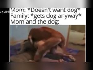 Comprendre les Responsabilites