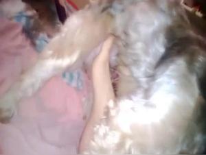 woman and dog sexton