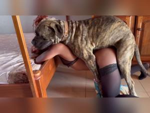 Sexo animale nella lavanderia: le putt che si baciano con i cani in intimita