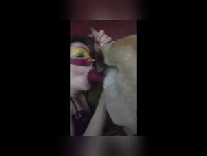 Blowjob with a dog: a shocking zoophilia video