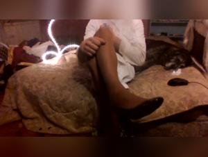 explore animal eroticism