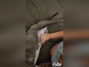 Curious teenager and dog: a beastly encounter