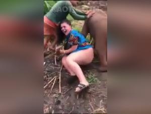 Bestiality video: a forbidden and intense encounter