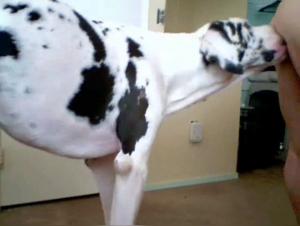 MILF and her dog in an extreme zoophilia video