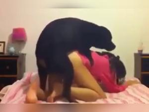 Woman and Dog: A Forbidden Meeting