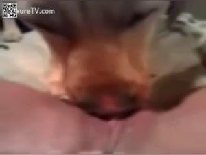 Woman and Dog: A Sensual Encounter - Bestial Video