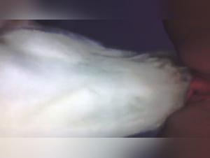 Exploring Taboo: Canine Desire Uncensored