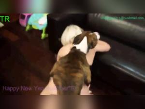 The Experience with Dogs of Jimmi from Team Russia