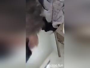 A Dog's Mouthful of Lust: The Wife of My Husband Can't Wait for Her Canine Companions