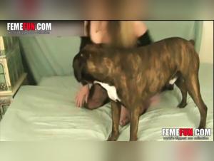 Blonde married woman and bestial sex with a dog