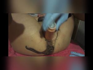 Dildo and Dog: A Bestial Encounter