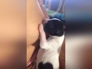 Bestial video: a forbidden experience with a dog