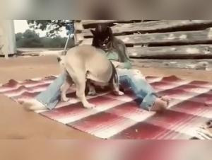 Bestiality: Young Girl and Her Dog