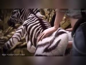 Forbidden Passion: Man and Dog