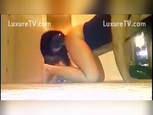 Woman and dog: an unexpected encounter