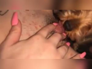 free beastiality dog