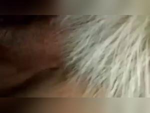 A beastly encounter: woman and dog