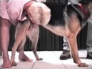 Breaking Taboo Boundaries