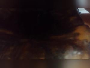 Forbidden Fetish Explorations Unveiled