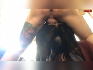 Dog Submissive to Sodomy and Anal Cream