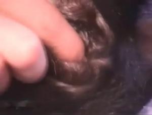 Video of Sex with a Dog