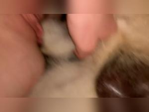 Vidéo de Sexe Bestial avec une Jeune Fille de 19 Ans et Son Chien