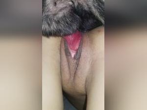 Vidéo Interdite: Chien et Maîtresse