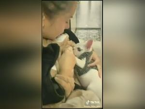 Une histoire d'amour bestiale: Femme et son chien