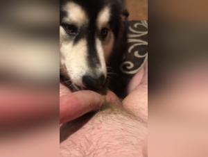 Bestial encounter: woman and dog