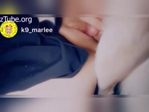 Secret and intense meeting between a teenager and a dog