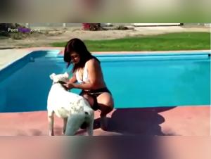 bestiality dog in pool