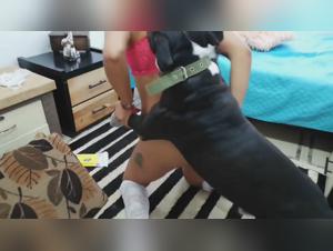 Lina in the bedroom: A shocking and exciting zoophilia video