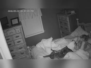 Ipcam - A Sensual and Wild Encounter