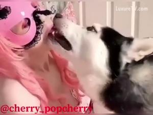 Bestiality: A Passionate Encounter with a Dog