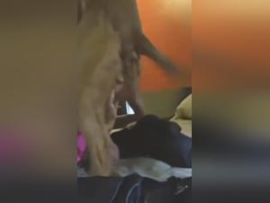 Beastly Hotel Adventure: Hot Wife and Her Four-Legged Friend