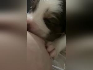 Bestial Breastfeeding: An Extreme and Forbidden Experience