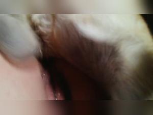 Submissive woman and her dog: an extreme zoophilia video