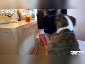 Video of Sex with a Dog