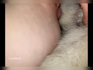 Salope sucks her dog: a passionate night